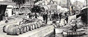 1513- Alger - Sur les Quais2